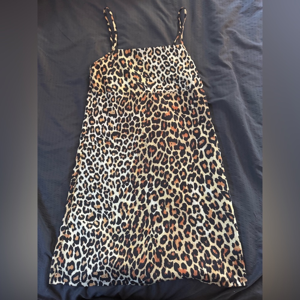 Zara Leopard Print Mini Dress